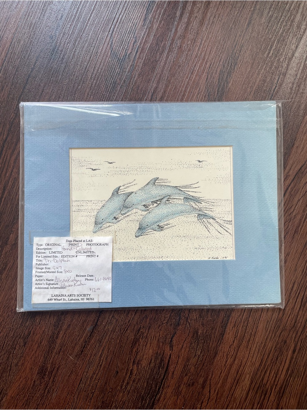 Vintage Artist Signed Allison Kuehn 1995 Art Print Tri-Dolphin 10x8”